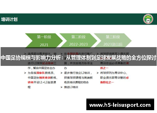 中国足协规模与影响力分析：从管理体制到足球发展战略的全方位探讨